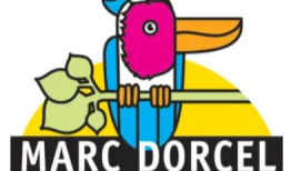 法国啄木鸟视频,自然界的敲击者与生态守护者